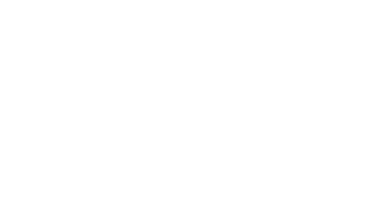 Little Big Shack